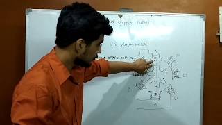 Variable reluctance stepper motor [upl. by Chouest]