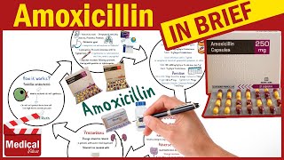 Amoxicillin 500mg Capsule What is Amoxicillin Used For Dosage Contraindications amp Precautions [upl. by Ettolrahc]