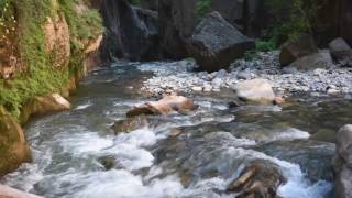 A Guide To Hiking The Zion Narrows [upl. by Cannon977]