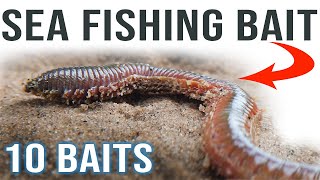 Sea Fishing Bait for Beginners [upl. by Roana]