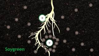 How Chelation Works In Agriculture [upl. by Pier]