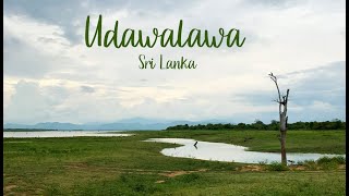 UDAWALAWE NATIONAL PARK  SRI LANKA [upl. by Ahsyek]