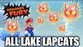 Bowsers Fury  All Lake Lapcat Cat Shine Locations [upl. by Kazim]