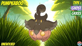 All Evolutions of Pumpkaboo [upl. by Erlin761]