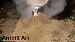 Five Fire Ant Colony Casting Session Part 2 Cast 3 [upl. by Calandria]