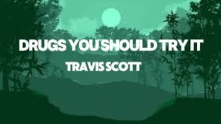 Travis Scott  Drugs You Should Try It Lyrics [upl. by Hillari811]