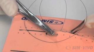 SIM SUTURE  5 Running Simple Sutures [upl. by Elleoj]