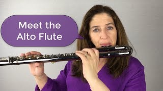 Meet the Alto Flute [upl. by Ylenats840]