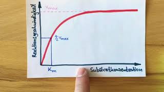 MichaelisMentenKonstante [upl. by Hagood]