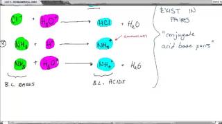 Bronsted Lowry Acid Base Theory [upl. by Oisangi741]