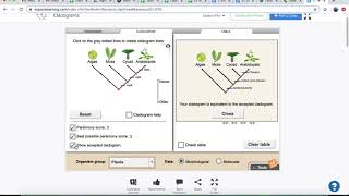 Cladogram Gizmo Tutorial [upl. by Trebornhoj]