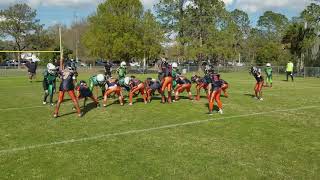 The Double Wing Offense in Youth Football [upl. by Hayse]