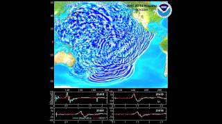 March 11 2011 Honshu Japan tsunami propagation [upl. by Ailecara]