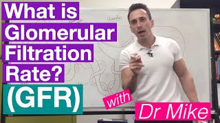 Glomerular Filtration Rate GFR  Renal System [upl. by Natalia]