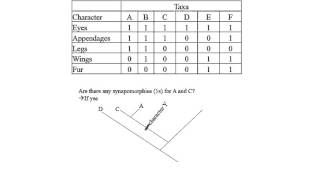 Cladogram Exercise by Hamid Razifard [upl. by Tressa]