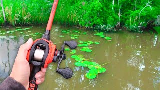 RECORD Day of FROG Fishing LOADED w GIANT Bass [upl. by Arte]