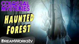 World’s Most Haunted Forest  COLOSSAL MYSTERIES [upl. by Scrivens]