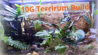 Terrarium DIY  Easy 10 Gallon For Beginners [upl. by Townshend]