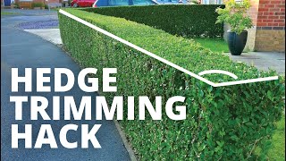 Hedge trimming hack making it quick and easy to cut your hedges [upl. by Naivad]