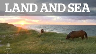 Land amp Sea Sable Island [upl. by Ahsekram]