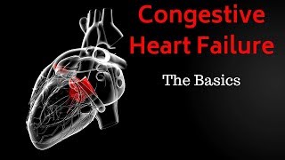 Congestive Heart Failure CHF  Basics Overview [upl. by Gruver]