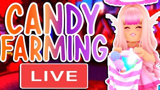 PLAYING THE NEW HALLOWEEN UPDATE AND CANDY FARMING ROBLOX Royale High Live [upl. by Nollat]