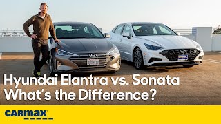 Hyundai Elantra vs Sonata Whats the Difference  Prices Exterior Interior Driving amp More [upl. by Brandie132]