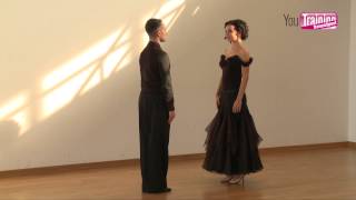 WDSF Technique Books  The Viennese Waltz [upl. by Skell]