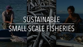 FAO Policy Series Sustainable SmallScale Fisheries [upl. by Dareece]