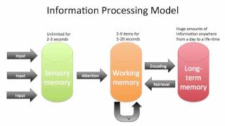 information processing model [upl. by Annez757]