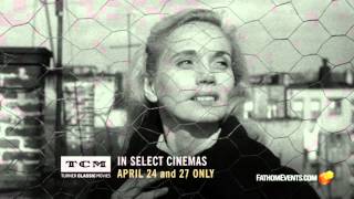 On the Waterfront Trailer [upl. by Ahsitaf]