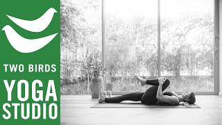 60 Minute Vinyasa Yoga for Back Health [upl. by Elegna]