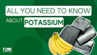 Potassium Everything You Need to Know [upl. by Nappie]