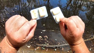 Catching yabbies with tartare sauce [upl. by Silliw]