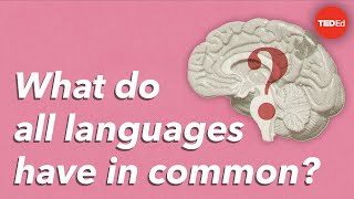 What do all languages have in common  Cameron Morin [upl. by Htiduj878]