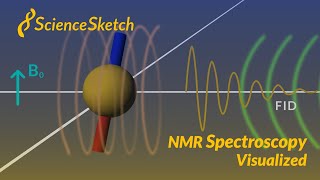 NMR spectroscopy visualized [upl. by Rep]