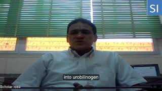 Urobilinogen in urine explained [upl. by Ariahaj719]