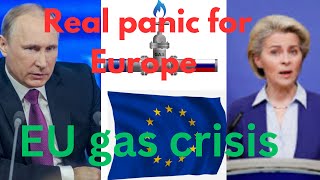 quotRussia Cuts Gas Supplies to EU What’s Nextquot [upl. by Arised156]