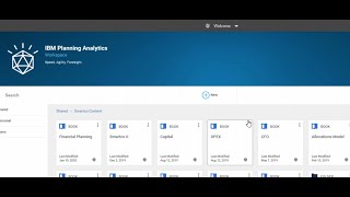 IBM Cognos Planning Analytics Demo [upl. by Adnohsor]