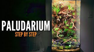 How to build a Paludarium Vivarium [upl. by Rettuc]