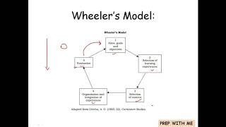 The Wheelers Model  Curriculum Design Model Knowledge And Curriculum  BED [upl. by Linnell]