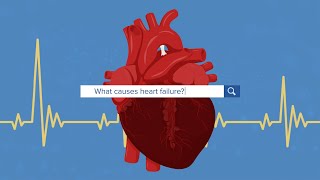 What Causes Heart Failure [upl. by Katee668]