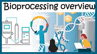 Bioprocessing overview Upstream and downstream process [upl. by Gearhart95]