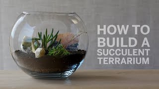 How To Build a Succulent Terrarium [upl. by Asiuol]