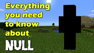 Everything you need to know about Null  Minecraft [upl. by Kyte912]