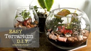 Easy DIY Glass Terrariums [upl. by Jarita]