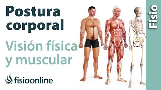 Postura corporal  Visión física y muscular [upl. by Aimac]