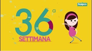 36° settimana di gravidanza [upl. by Stover]