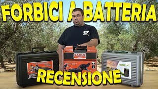 FORBICI DA POTATURA A BATTERIA PROFESSIONALI  RECENSIONE amp CONFRONTO [upl. by Weisler]