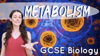 Metabolism  GCSE Biology [upl. by Nozicka]